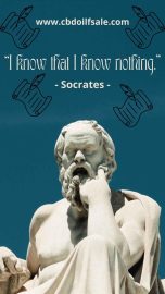 Socrates: The Timeless Philosophical Pillar of Western Thought
