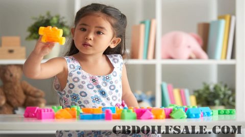 Mainan Edukatif: Memilih yang Tepat untuk Stimulasi Mental Anak