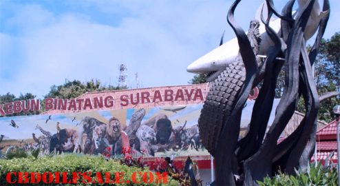 Pariwisata Eko: Keindahan Alam Tersembunyi di Sekitar Surabaya