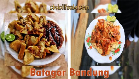Batagor Bandung: Jajanan Kuliner Legendaris yang Menggugah Selera